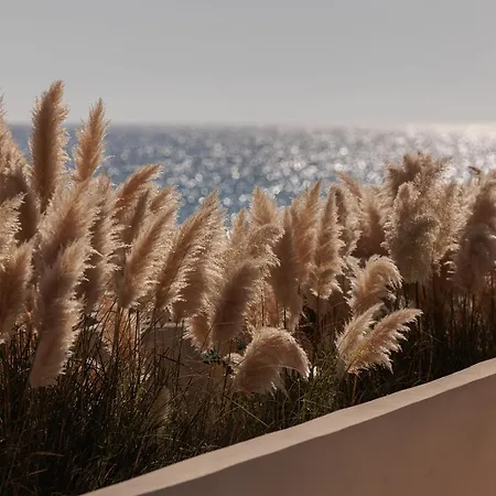 Eden Beachfront Residences & * Kastraki (Naxos)