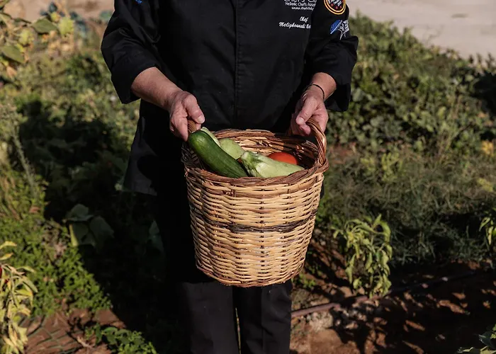 Eden Beachfront Residences & Apart Otel Kastrákion